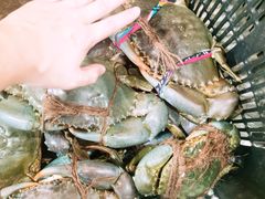 -無招牌海鮮(芽笼店)