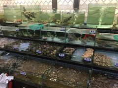 水产区-新海利海鲜城·41年珠海老字号(夏湾店)