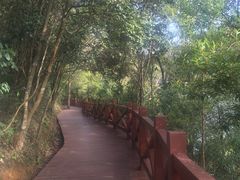 -广州市石门国家森林公园