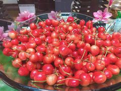 -半岛听涛蒸汽海鲜自助(K11店)