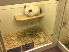 -龙猫仔乐园(惠福东路店)