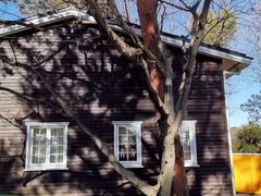 -三鹰之森吉卜力美术馆