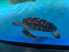 -常州海昌海洋探索馆