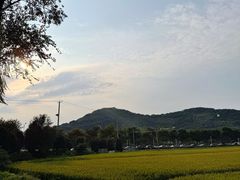 -上海佘山国家森林公园天马山园