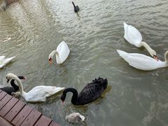 -宁波杭州湾国家湿地公园