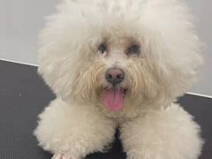 -comecome来吧宠物(奥克斯中心店)