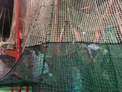 -珠海横琴国家地理探险家中心(创新方)