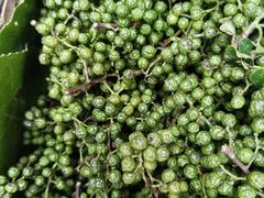 -一坐一忘云南菜(卓悦中心)