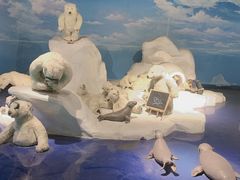 -成都泰迪熊博物馆