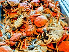 -银帆宾馆-自助餐厅(金马路店)