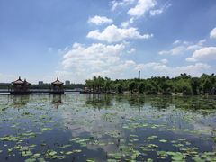-长春市南湖公园