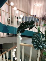 -新蝶变皮肤管理中心