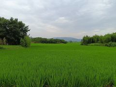-良渚古城遗址公园