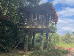 -海南热带野生动植物园