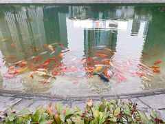 -陆家嘴中心绿地