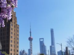 -北外滩滨江绿地