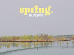 -西京湾花海