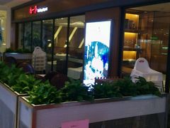 -尚一汤 广东炖汤(金桥国际店)