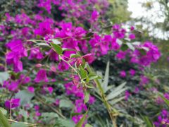 -白云山索道-售票处