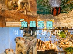 -南丹山森林王国