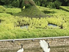 -中山公园