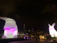 -香港皇家太平洋酒店