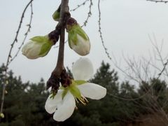 -清真吐鲁番餐厅(牛街店)