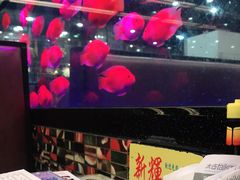 -新辉港式茶餐厅(北栅店)