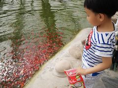 -兴芮温泉度假区