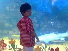 -烟台海昌鲸鲨海洋公园