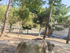 -牛鱼嘴原始生态风景区
