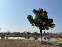 -良渚古城遗址公园