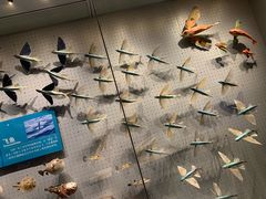 -贝林大翅鲸简餐厅(国家海洋博物馆店)