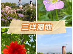 -三垟湿地