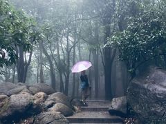 -火炉山森林公园