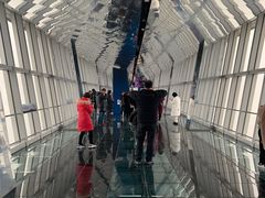 -上海环球金融中心云端足球盛典