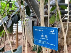 -南山植物园