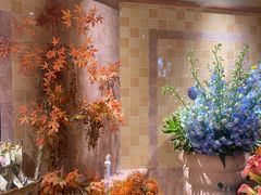 -BEAST野兽派(上海浦东嘉里城店)