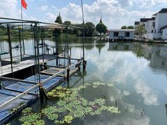 -水岸居湖景农家乐·阳澄湖大闸蟹