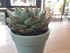 -Peet's 皮爷咖啡(东湖路手作店)