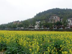 -红山村