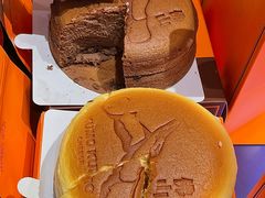 -岭南站NOVA