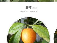 -潜山国家森林公园