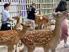 -水上乐园·欢乐世界