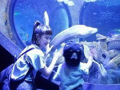 -成都浩海立方海洋公园