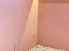 -狐狸和向日葵(北京路店)