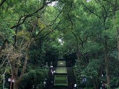 -忠山公园