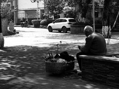 -春涛餐馆(下坝店)