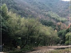 -水墨汀溪风景区