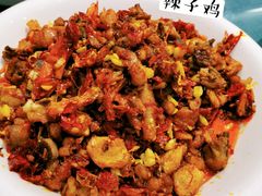 -柴窝堡玉兰辣子鸡(碱泉三街店)
